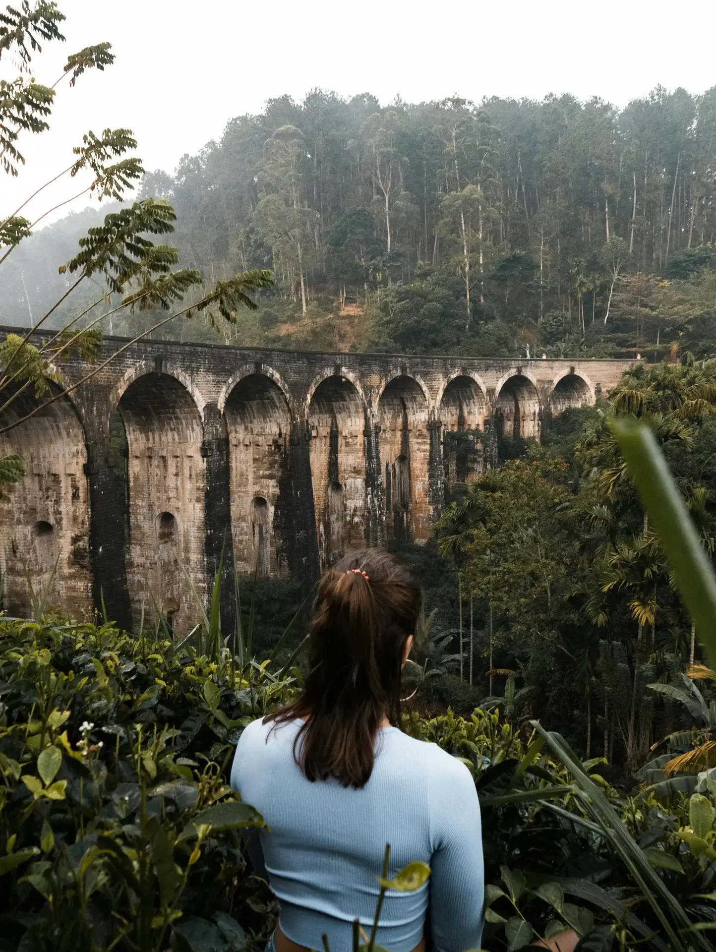 Iconic Nine Arch Bridge in Ella with Passing Train