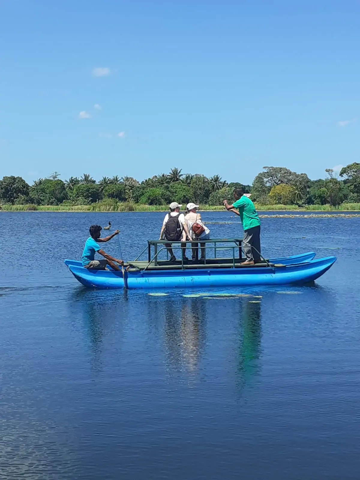 Scenic Boat Safari through Madu River Mangroves