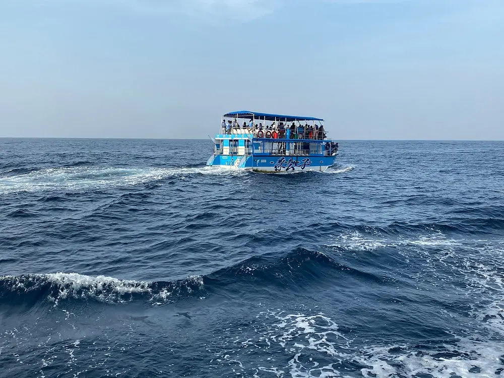 Exotic Birdlife in Bundala